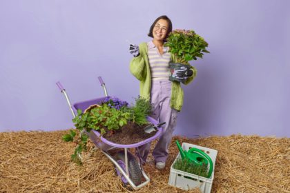 Gardening and agriculture concept. Positive Asian woman plants flowers dressed in casual clothes poi